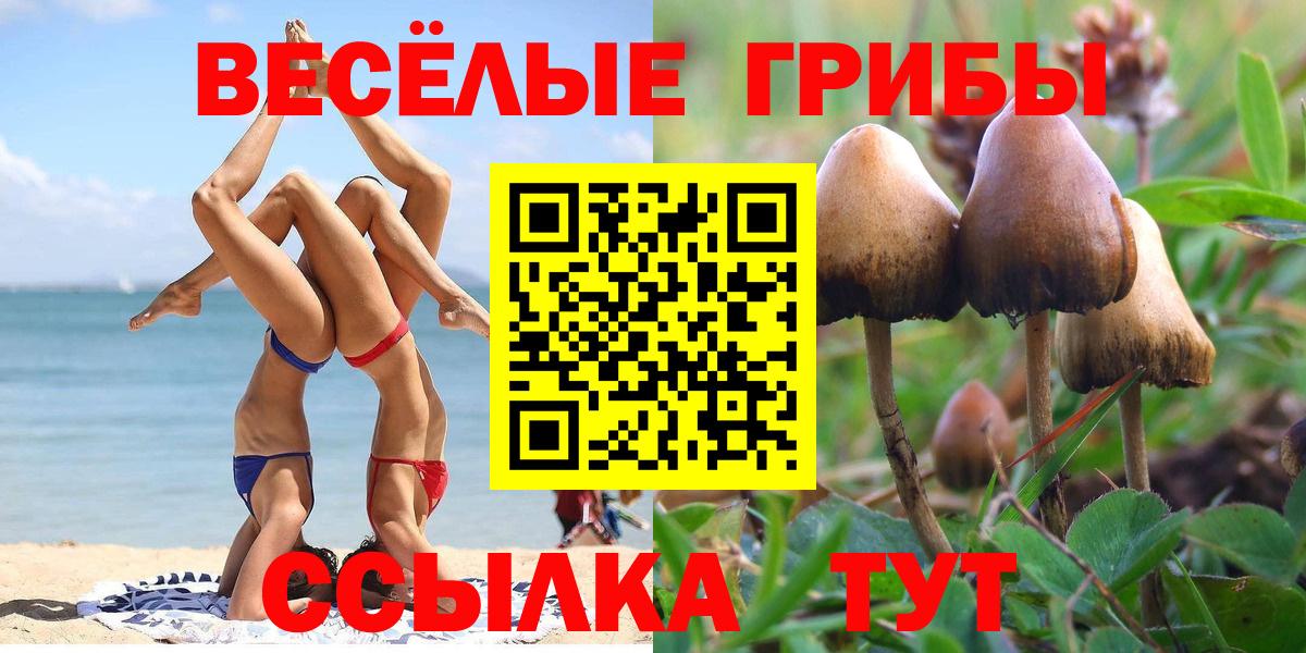 Псилоцибиновые грибы прущие грибы Гай