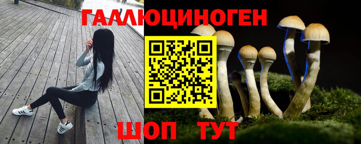 Галлюциногенные грибы мухоморы  Вход с VPN  Галлюциногенные грибы прущие грибы  Гай 